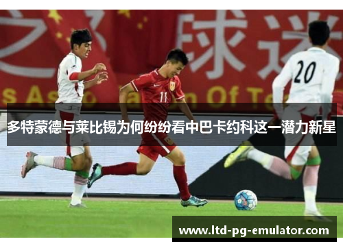 多特蒙德与莱比锡为何纷纷看中巴卡约科这一潜力新星 多特蒙德与莱比锡为何纷纷看中巴卡约科这一潜力新星