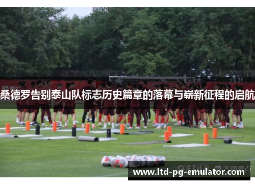 桑德罗告别泰山队标志历史篇章的落幕与崭新征程的启航 桑德罗告别泰山队标志历史篇章的落幕与崭新征程的启航