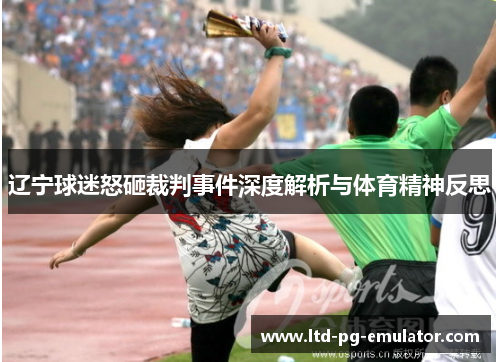 辽宁球迷怒砸裁判事件深度解析与体育精神反思 辽宁球迷怒砸裁判事件深度解析与体育精神反思