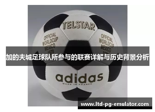 加的夫城足球队所参与的联赛详解与历史背景分析 加的夫城足球队所参与的联赛详解与历史背景分析